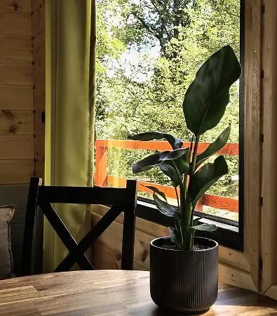 Kemping Tree Vill Goledzinow