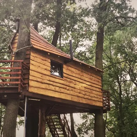 אתר קמפינג Tree Vill Goledzinow
