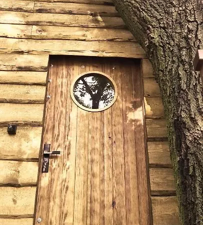 Kemping Tree Vill Goledzinow