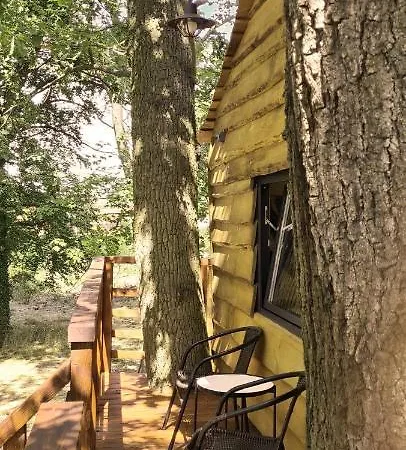 Tree Vill אתר קמפינג Goledzinow