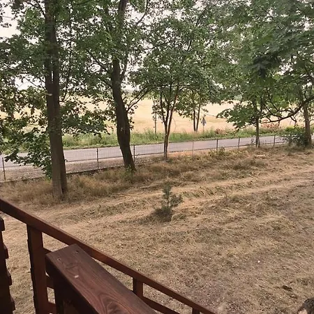 אתר קמפינג Tree Vill Goledzinow