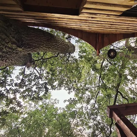 Tree Vill * Goledzinow