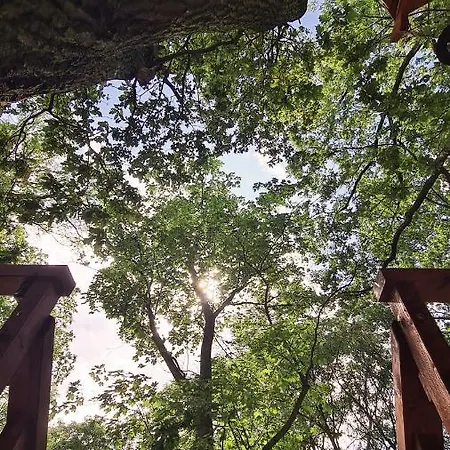 营地 Tree Vill Goledzinow