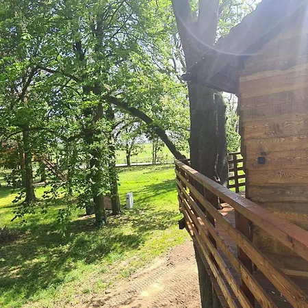 Tree Vill Goledzinow