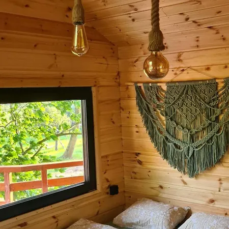 Tree Vill Goledzinow