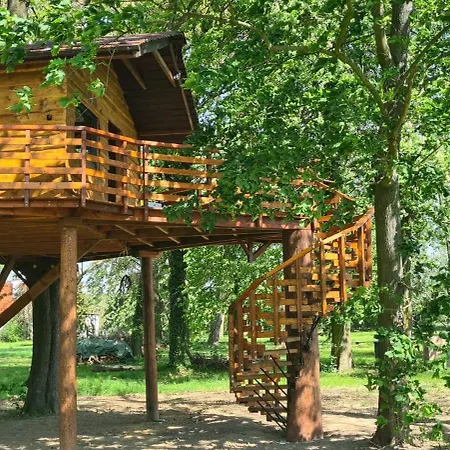 Tree Vill Goledzinow