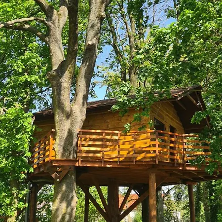 אתר קמפינג Tree Vill *