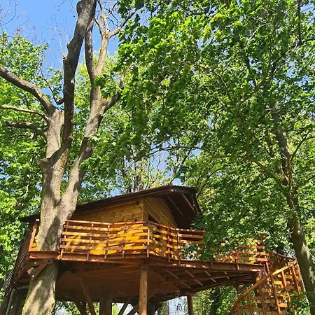 营地 Tree Vill Goledzinow