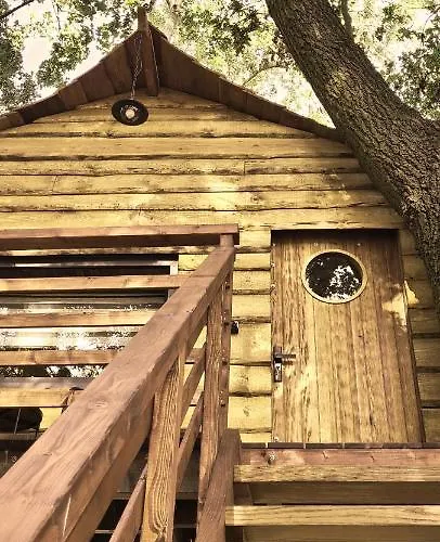 Campsite Tree Vill *