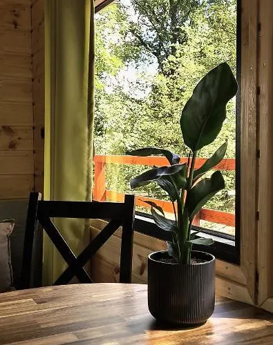 Campsite Tree Vill Goledzinow