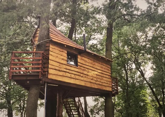 Campsite Tree Vill Goledzinow