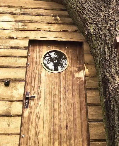 Campsite Tree Vill Goledzinow