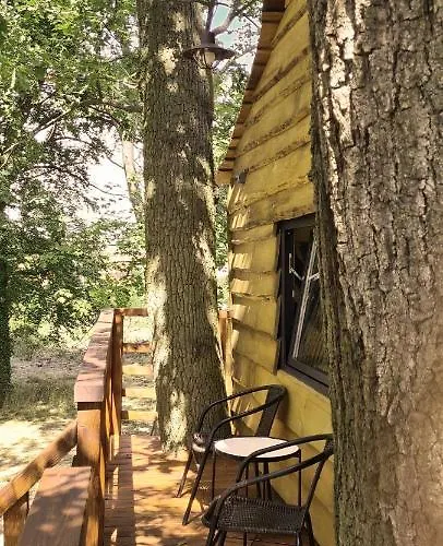 Tree Vill Campsite Goledzinow