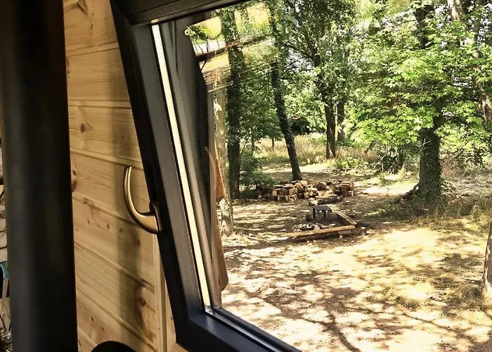 Tree Vill Goledzinow