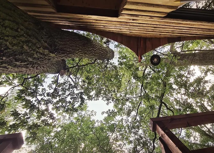 Tree Vill * Goledzinow