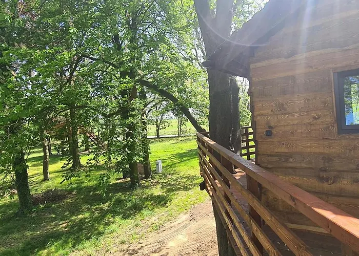 Tree Vill Goledzinow