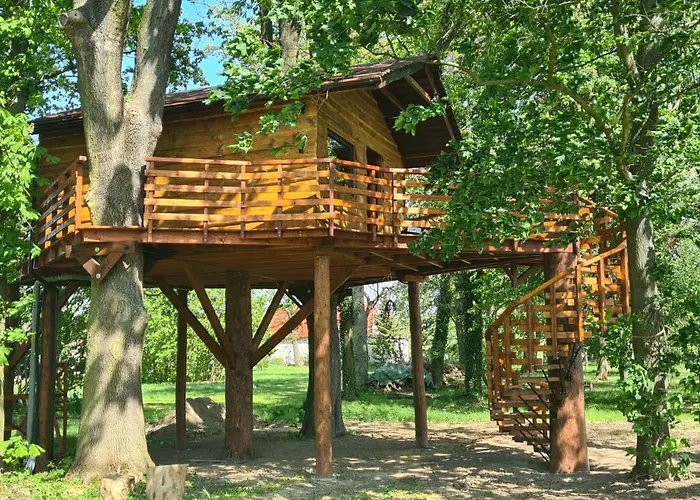 Tree Vill Goledzinow