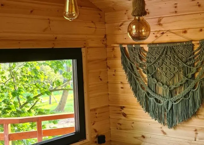 Tree Vill Goledzinow