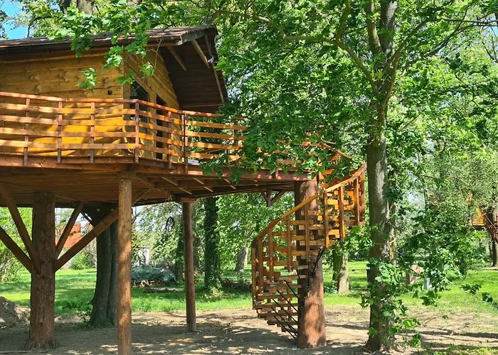 Tree Vill Goledzinow