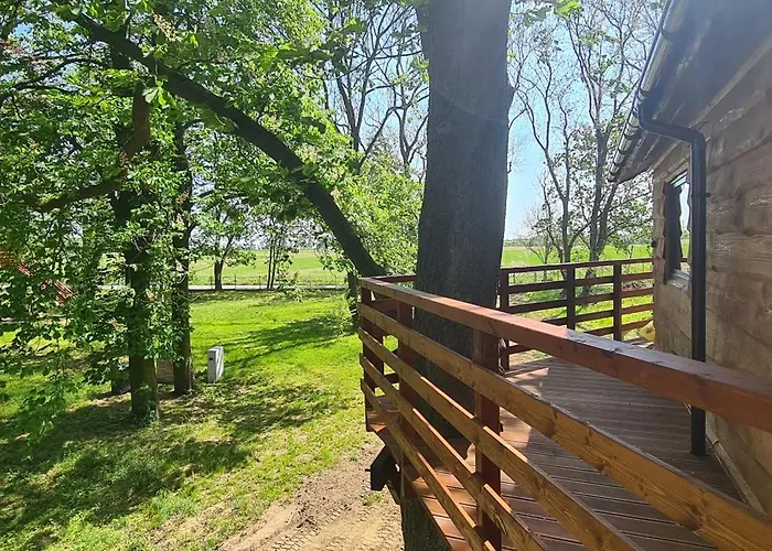 Campsite Tree Vill *