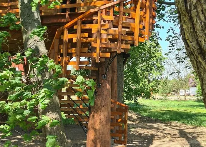 Tree Vill Goledzinow