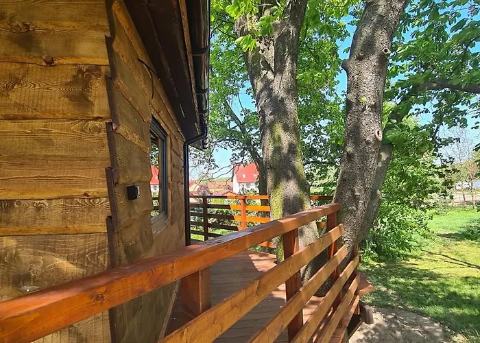 Campsite Tree Vill Goledzinow