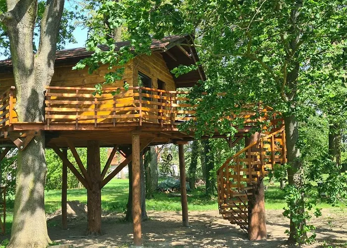 Tree Vill Goledzinow