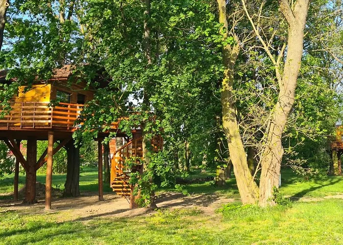 Campsite Tree Vill *