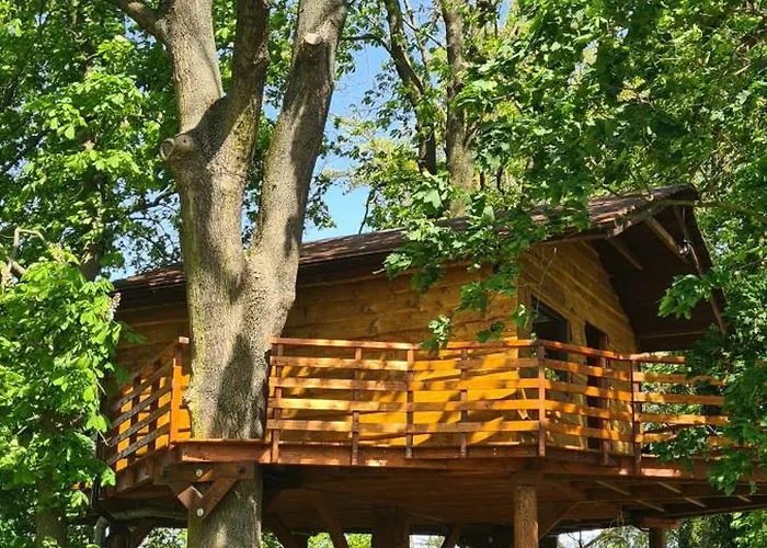 Campsite Tree Vill *